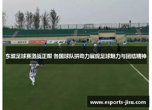 东盟足球赛激战正酣 各国球队拼劲力展现足球魅力与团结精神